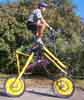 vélo Chameau